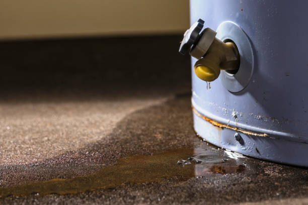 Best Flooded house restoration  in Third Lake, IL