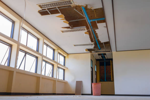 Best Carpet water damage restoration  in Third Lake, IL