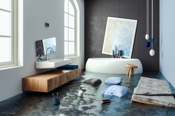 Best Water damage mitigation services  in Third Lake, IL