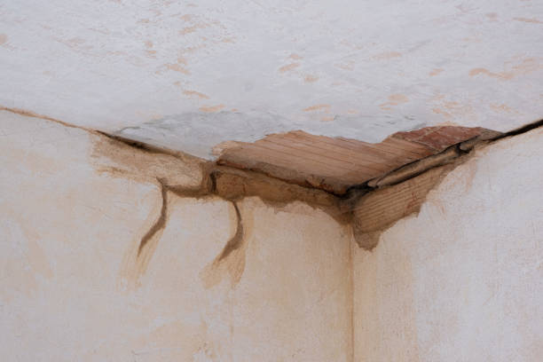 Best Sewage cleanup and water damage restoration  in Third Lake, IL