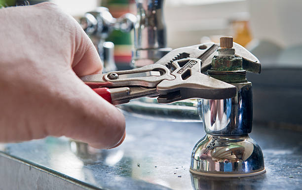 Best Water damage restoration near me  in Third Lake, IL