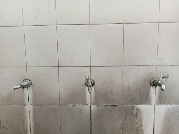 Best Water damage restoration specialists  in Third Lake, IL